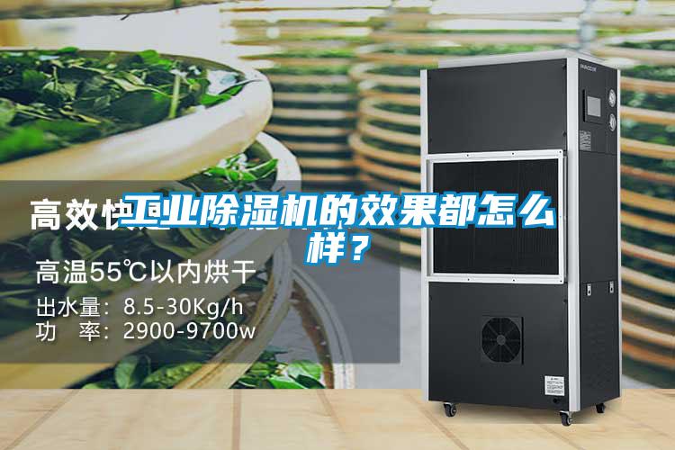 工業(yè)除濕機(jī)的效果都怎么樣?