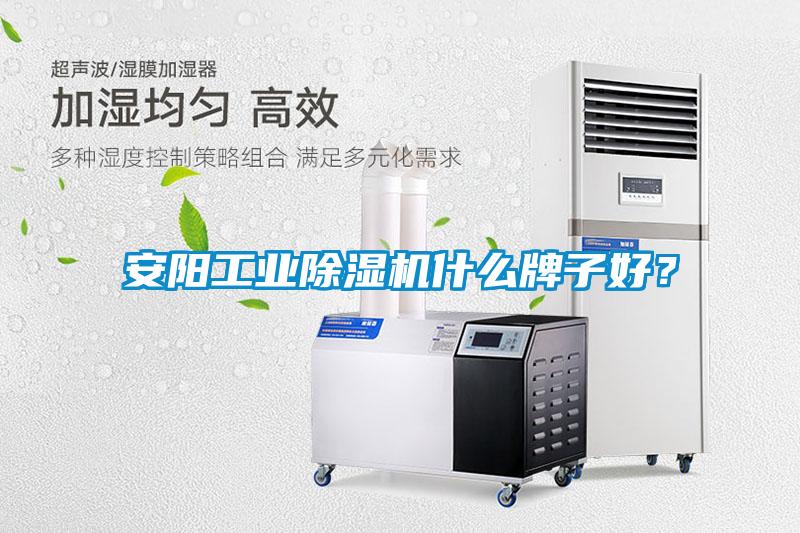 安陽工業除濕機什么牌子好？