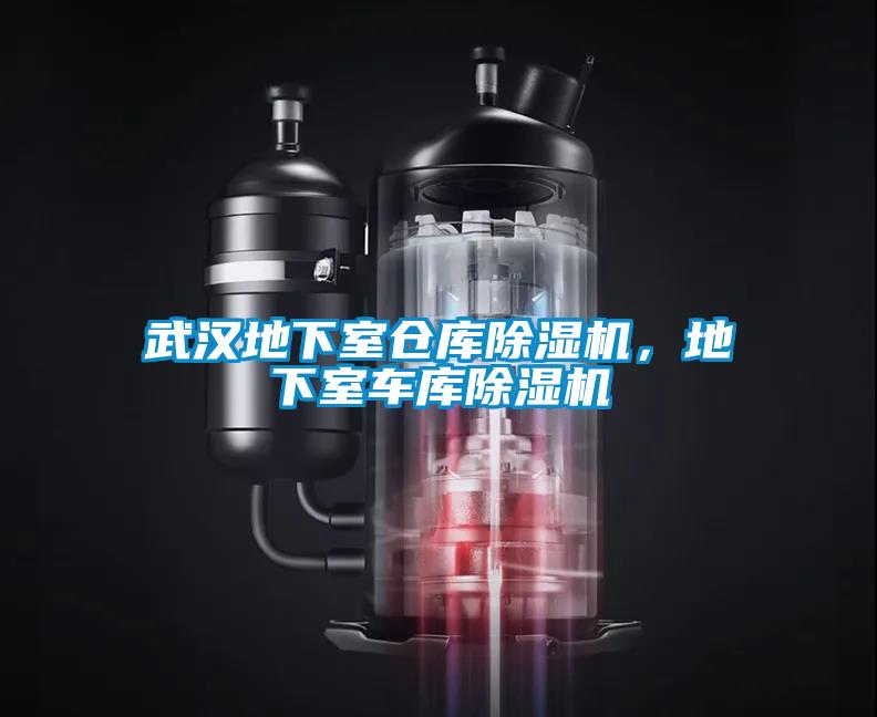 武漢地下室倉(cāng)庫(kù)除濕機(jī)，地下室車(chē)庫(kù)除濕機(jī)