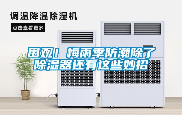圍觀！梅雨季防潮除了除濕器還有這些妙招
