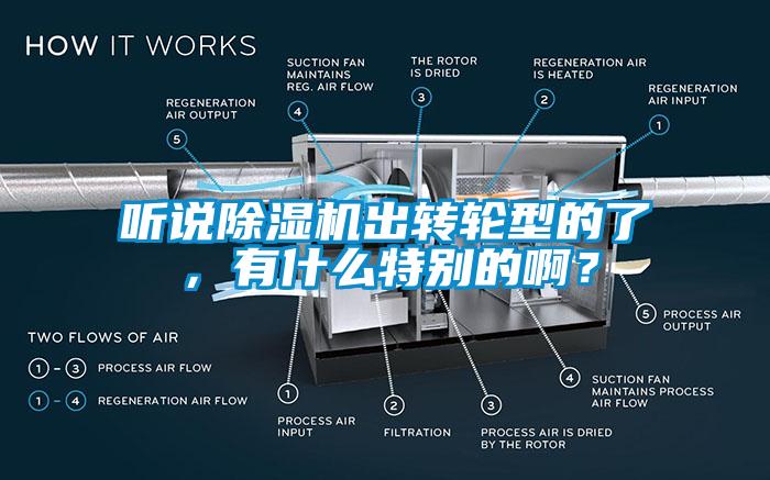 聽(tīng)說(shuō)除濕機(jī)出轉(zhuǎn)輪型的了，有什么特別的啊？