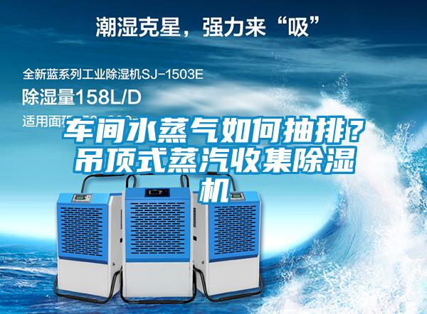 車間水蒸氣如何抽排？吊頂式蒸汽收集除濕機(jī)