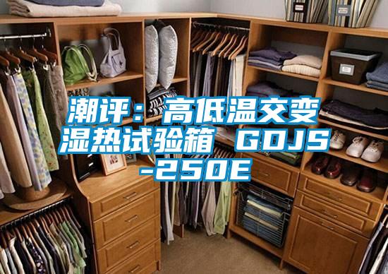 潮評(píng):高低溫交變濕熱試驗(yàn)箱 GDJS-250E