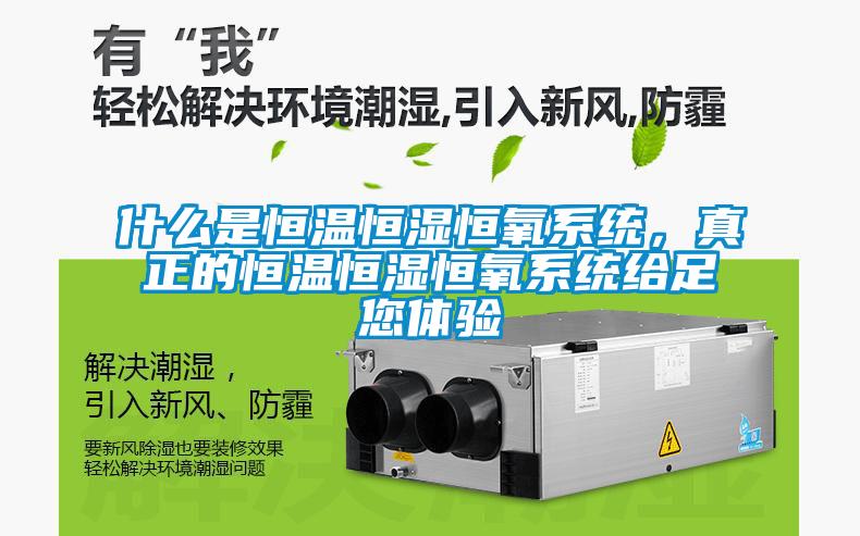 什么是恒溫恒濕恒氧系統(tǒng)，真正的恒溫恒濕恒氧系統(tǒng)給足您體驗