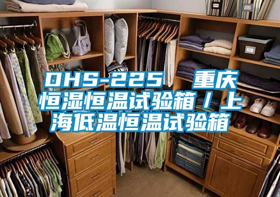 DHS-225 重慶恒濕恒溫試驗(yàn)箱/上海低溫恒溫試驗(yàn)箱