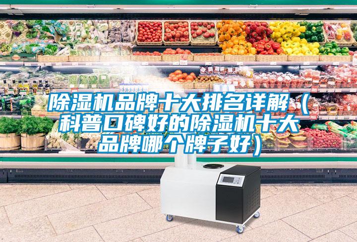 除濕機品牌十大排名詳解(科普口碑好的除濕機十大品牌哪個牌子好)