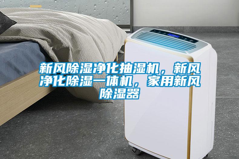 新風(fēng)除濕凈化抽濕機(jī)，新風(fēng)凈化除濕一體機(jī)，家用新風(fēng)除濕器