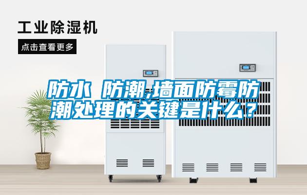 防水≠防潮,墻面防霉防潮處理的關(guān)鍵是什么？