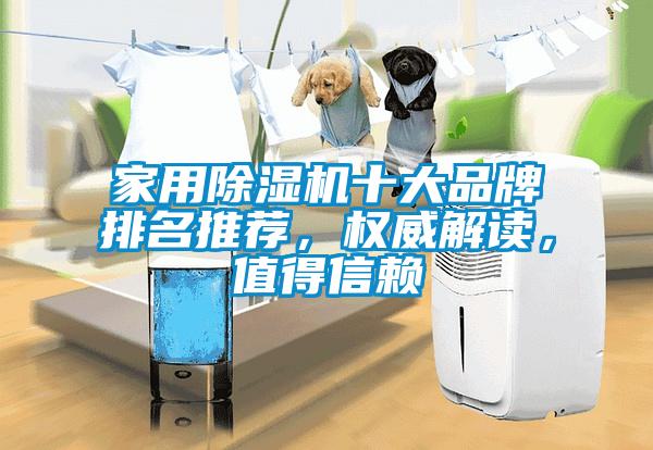 家用除濕機十大品牌排名推薦，權(quán)威解讀，值得信賴