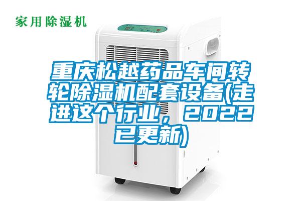 重慶松越藥品車間轉(zhuǎn)輪除濕機(jī)配套設(shè)備(走進(jìn)這個(gè)行業(yè),2022已更新)
