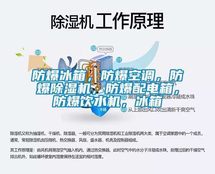 防爆冰箱，防爆空調(diào)，防爆除濕機，防爆配電箱，防爆飲水機，冰箱