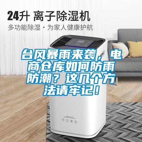 臺風(fēng)暴雨來襲，電商倉庫如何防雨防潮？這幾個方法請牢記！