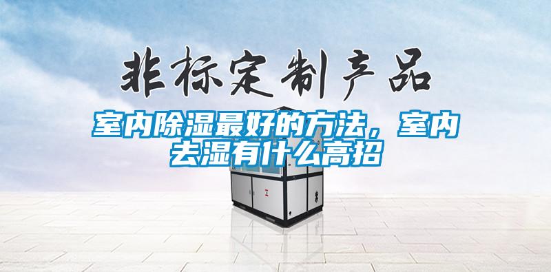 室內(nèi)除濕最好的方法,室內(nèi)去濕有什么高招