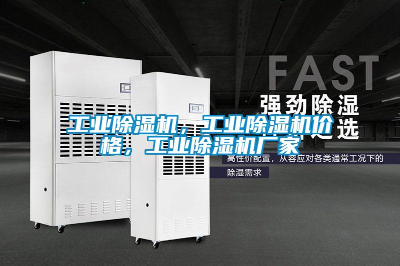 工業(yè)除濕機(jī)，工業(yè)除濕機(jī)價格，工業(yè)除濕機(jī)廠家