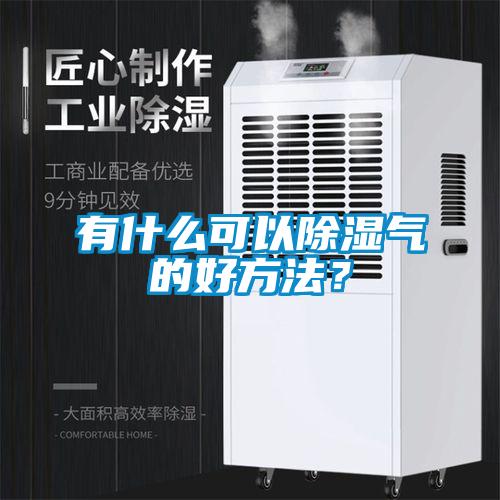 有什么可以除濕氣的好方法?