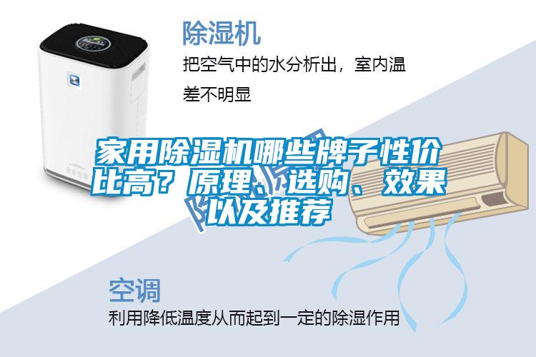 家用除濕機(jī)哪些牌子性價(jià)比高？原理、選購(gòu)、效果以及推薦