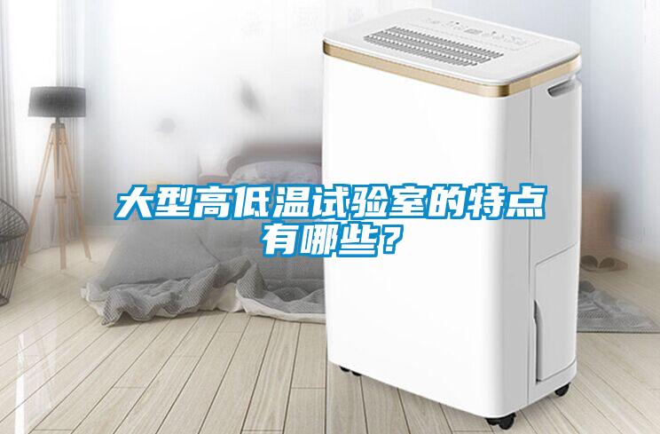 大型高低溫試驗室的特點有哪些？