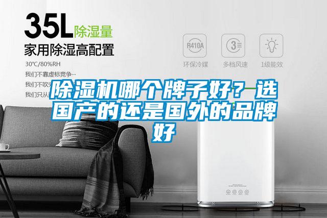 除濕機哪個牌子好?選國產的還是國外的品牌好