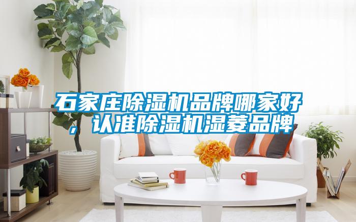 石家莊除濕機品牌哪家好，認準除濕機濕菱品牌