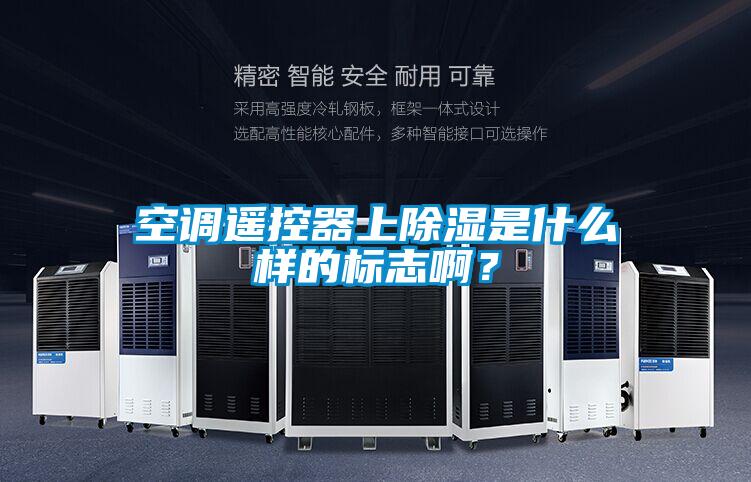 空調(diào)遙控器上除濕是什么樣的標(biāo)志?。?/></p>
						    <p style=