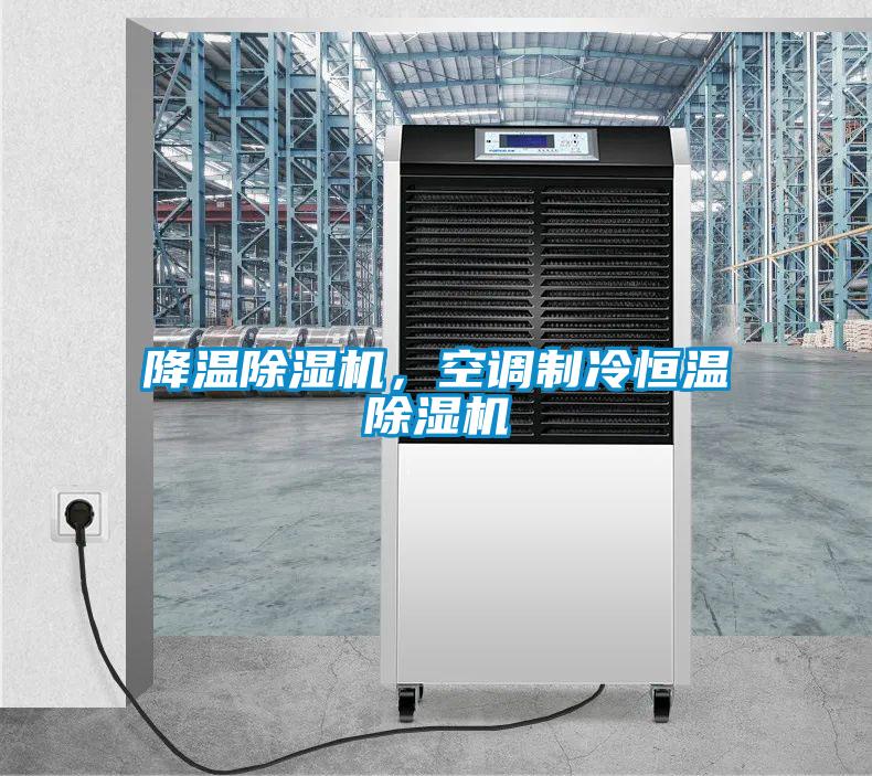 降溫除濕機，空調制冷恒溫除濕機