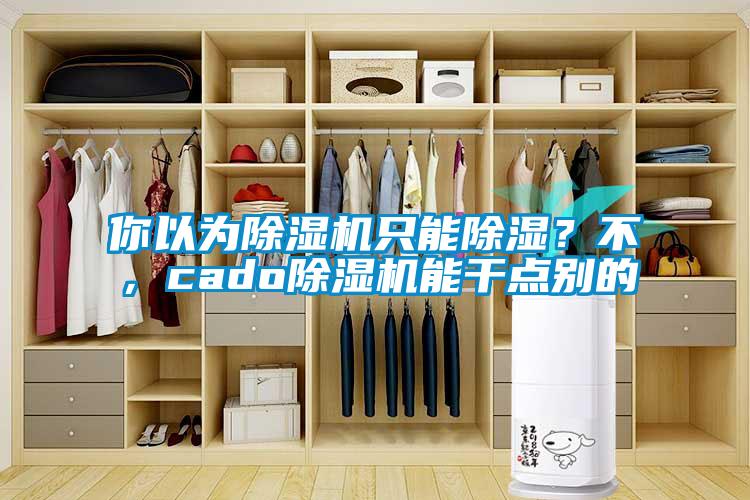 你以為除濕機只能除濕?不,cado除濕機能干點別的