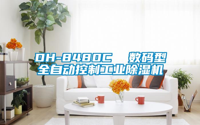 DH-8480C 數(shù)碼型全自動(dòng)控制工業(yè)除濕機(jī)