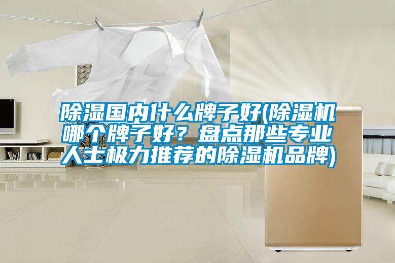除濕國內(nèi)什么牌子好(除濕機哪個牌子好？盤點那些專業(yè)人士極力推薦的除濕機品牌)