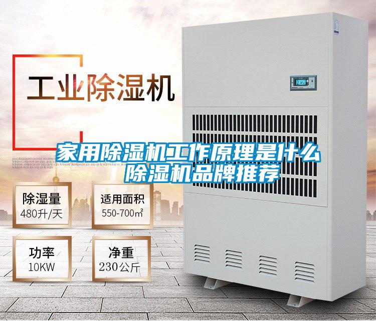家用除濕機(jī)工作原理是什么 除濕機(jī)品牌推薦