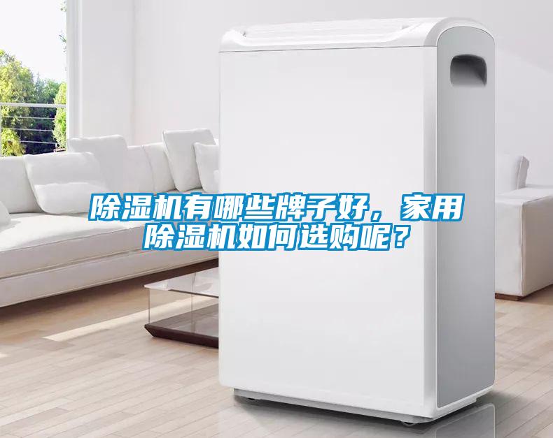 除濕機(jī)有哪些牌子好，家用除濕機(jī)如何選購(gòu)呢？