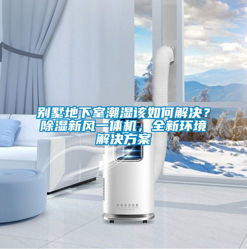 別墅地下室潮濕該如何解決？除濕新風一體機，全新環境解決方案