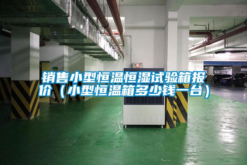 銷售小型恒溫恒濕試驗箱報價(小型恒溫箱多少錢一臺)