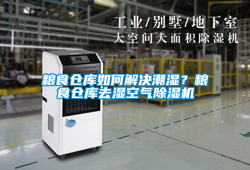 糧食倉庫如何解決潮濕?糧食倉庫去濕空氣除濕機