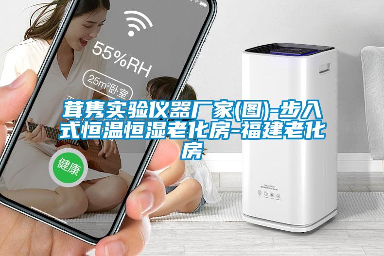 茸雋實(shí)驗(yàn)儀器廠(chǎng)家(圖)-步入式恒溫恒濕老化房-福建老化房