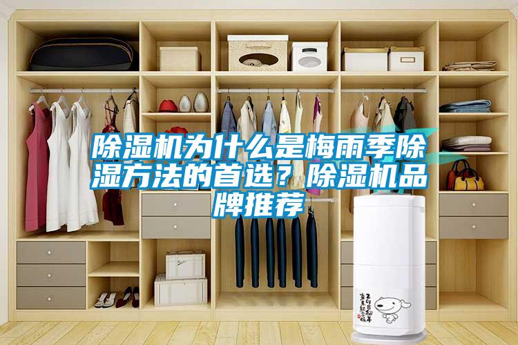除濕機為什么是梅雨季除濕方法的首選？除濕機品牌推薦