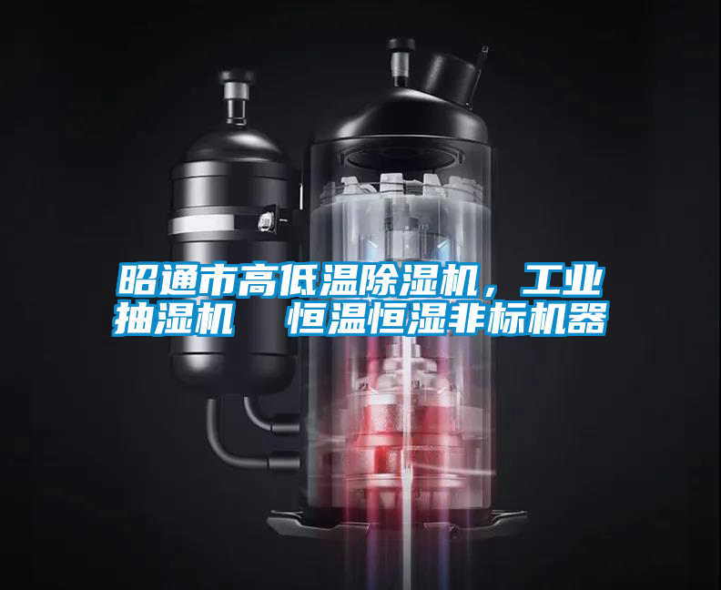 昭通市高低溫除濕機(jī)，工業(yè)抽濕機(jī)  恒溫恒濕非標(biāo)機(jī)器
