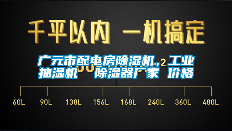 廣元市配電房除濕機，工業抽濕機  除濕器廠家 價格