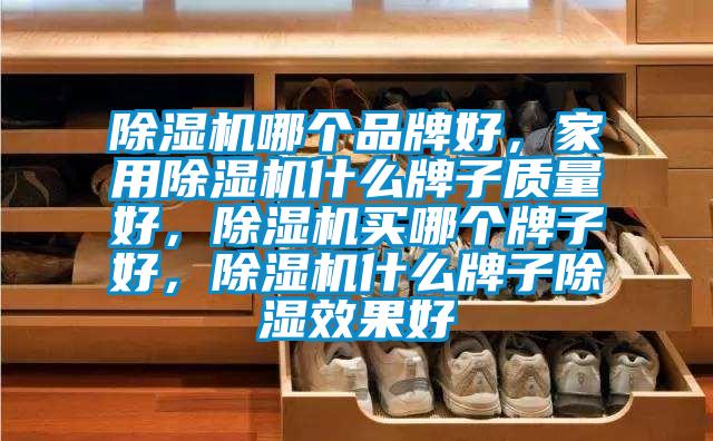 除濕機(jī)哪個(gè)品牌好，家用除濕機(jī)什么牌子質(zhì)量好，除濕機(jī)買(mǎi)哪個(gè)牌子好，除濕機(jī)什么牌子除濕效果好