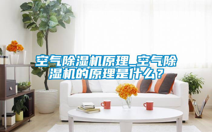 空氣除濕機原理_空氣除濕機的原理是什么？