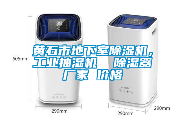 黃石市地下室除濕機，工業(yè)抽濕機  除濕器廠家 價格