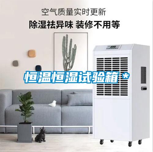 恒溫恒濕試驗箱*