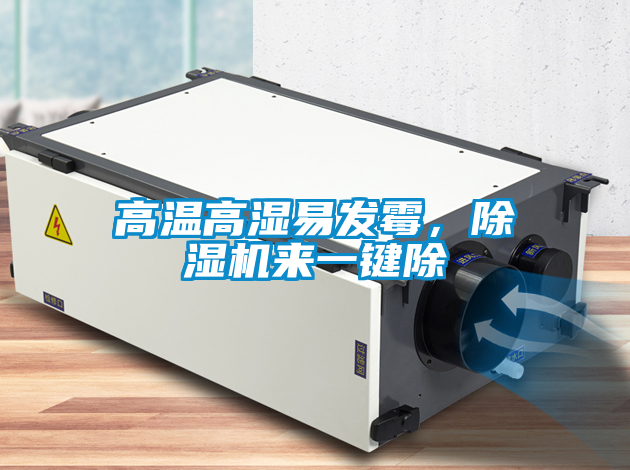 高溫高濕易發霉,除濕機來一鍵除