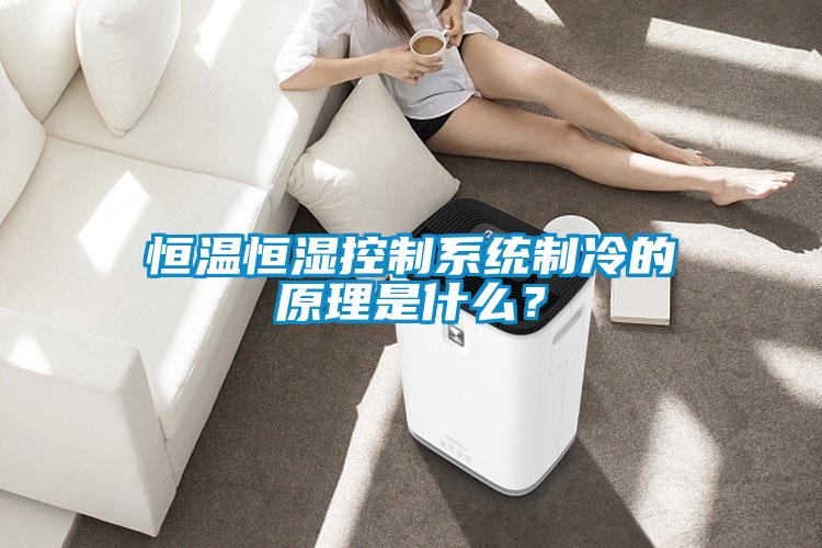 恒溫恒濕控制系統制冷的原理是什么？