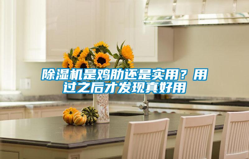 除濕機是雞肋還是實用？用過之后才發現真好用