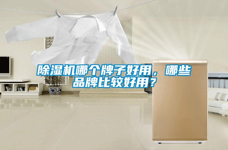 除濕機哪個牌子好用，哪些品牌比較好用？