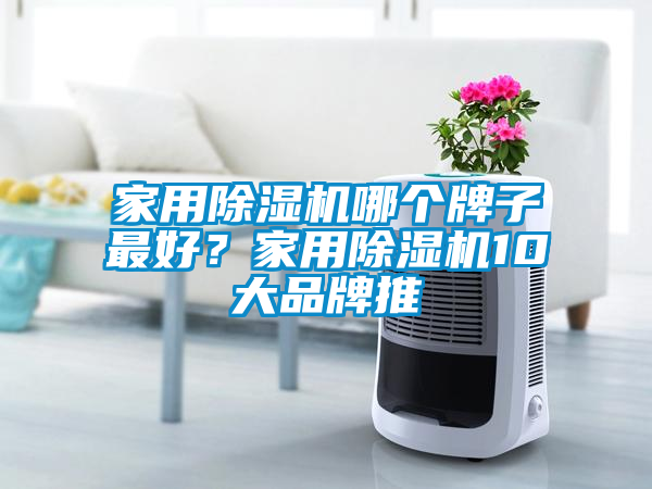 家用除濕機哪個牌子最好？家用除濕機10大品牌推