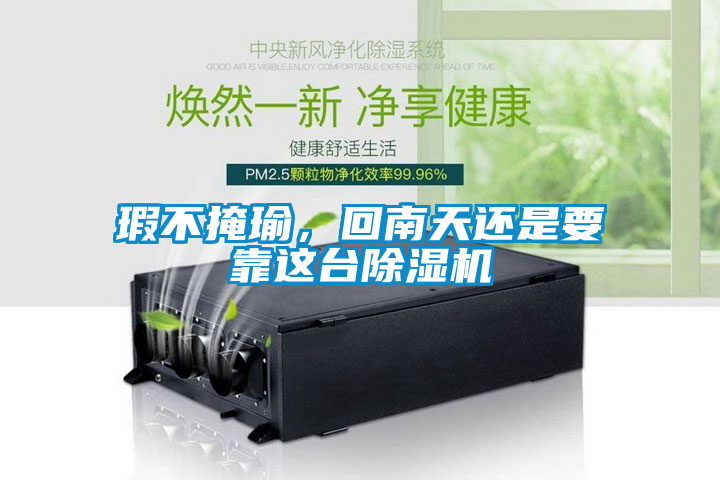 瑕不掩瑜，回南天還是要靠這臺除濕機