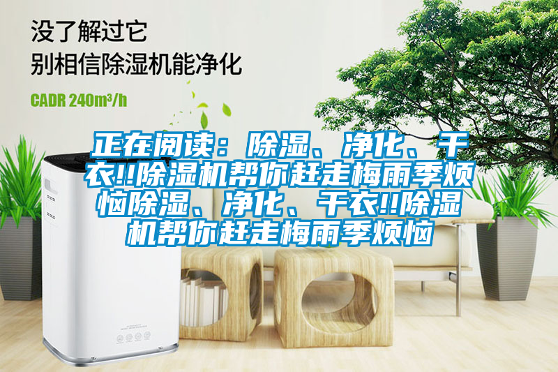 正在閱讀:除濕、凈化、干衣!!除濕機幫你趕走梅雨季煩惱除濕、凈化、干衣!!除濕機幫你趕走梅雨季煩惱