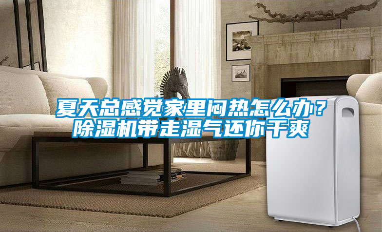 夏天總感覺家里悶熱怎么辦?除濕機(jī)帶走濕氣還你干爽