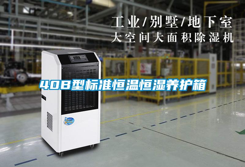 40B型標準恒溫恒濕養(yǎng)護箱